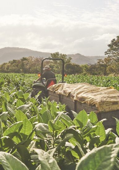 RP_Nicaragua_DSC7764